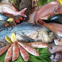 Su ürünleri sektörü ilk çeyrekte ihracatını yüzde 24 artırdı