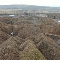 Sukkar Şeker 2025'te Üretim Hacmini Güçlendirdi