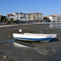 Tekirdağ'da ürküten manzara! Deniz 25 metre çekildi