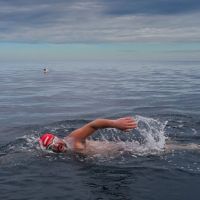 Türk Sporcu Murat Öz, Yeni Zelanda'da bulunan Cook Strait kanalını yüzerek geçti