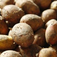 Türkiye patates fiyatı artışında dünya ikincisi