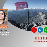 Turuncu kategoride aranan terörist etkisiz hale getirildi