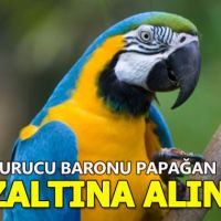 Uyuşturucu baronu papağan gözaltına alındı!