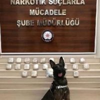 Van'da 33 kilo afyon sakızı ele geçirildi