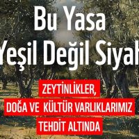 WWF-Türkiye: Meclis'e Sunulacak Yasa Teklifi Doğayı ve Kültürel Varlıkları Tehdit Ediyor