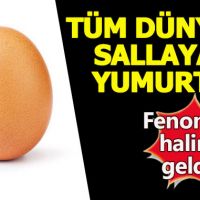 World record egg instagram profile - Instagram yumurta beğeni rekoru
