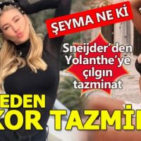 Yolanthe Cabau'nun Sneijder'den aldığı inanılmaz tazminat