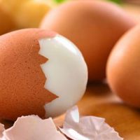 Yumurta ihracatında rekor kırıldı