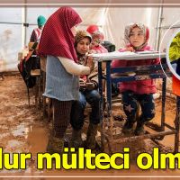 Zordur mülteci olmak…