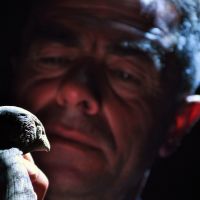 Muşlu besici dağdan topladığı ağaçları sanat eserine dönüştürüyor