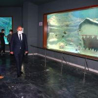 Keçiören'de teleferik ve Deniz Dünyası bayram boyunca ücretsiz