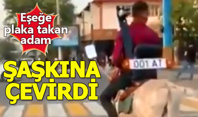 Eşeğe plaka takıp trafiğe çıkan adam şaşkına çevirdi