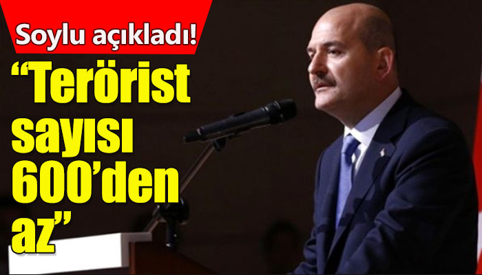 İçişleri Bakanı Süleyman Soylu'dan terör açıklaması