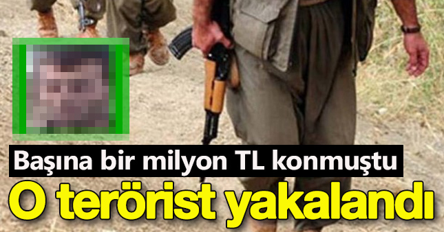  PKK'lı terörist Cahit Beyhan öldürüldü