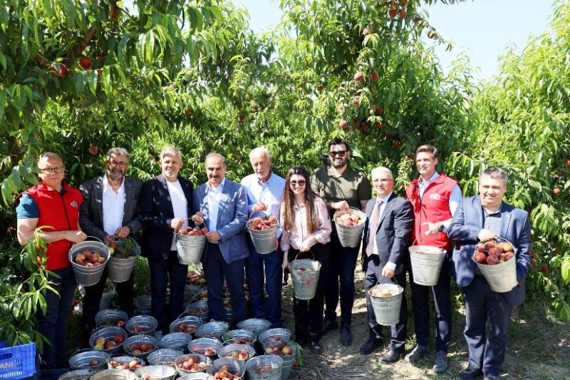 2026 yılının ilk dört ayında şeftali ve nektarin ihracatı yüzde 300 arttı