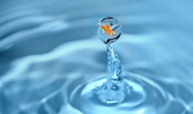 22 Mart Dünya Su Günü nedir | Ne zaman kutlanmaya başladı | önemi nedir 