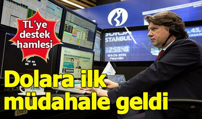 4.80'i aşan dolara ilk müdahale geldi