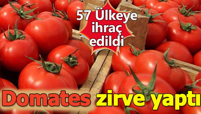 57 ülkeye domates ihracatı yapıldı