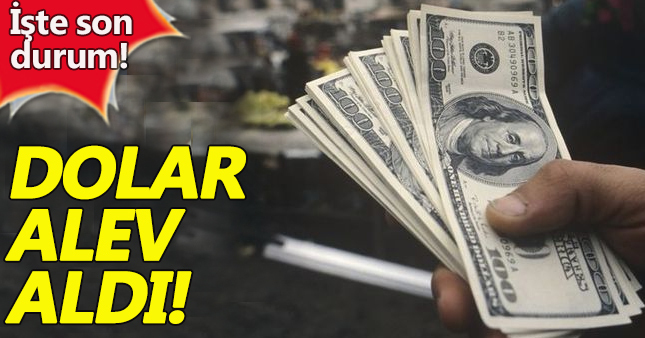 8 şubat Dolar ne kadar? Dolar kurları yorumları | 1 dolar kaç TL