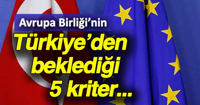 AB'den vize serbestliği için 5 kriter şartı