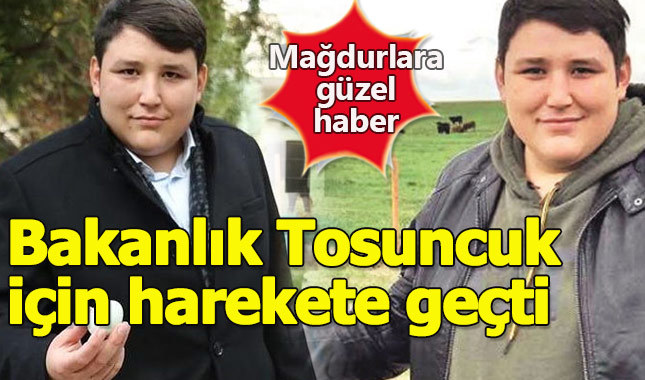 Adalet Bakanlığı Mehmet Aydın için harekete geçti - Mehmet Aydın kimdir, binlerce insanı nasıl dolandırdı?