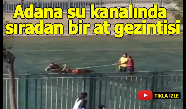 Adana su kanlında sıradan bir at gezintisi