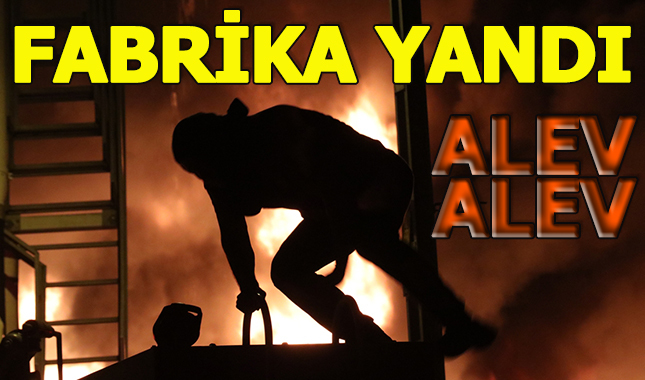Adana'da korkutan fabrika yangını