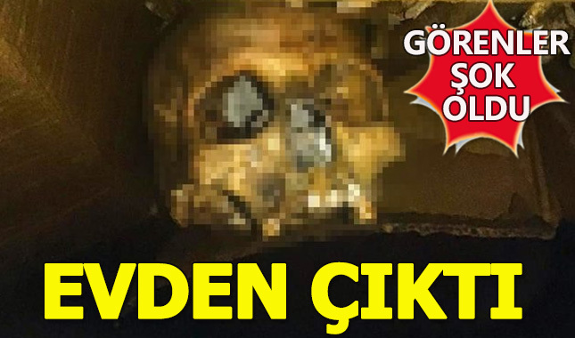 Adana'da tuhaf bir olay