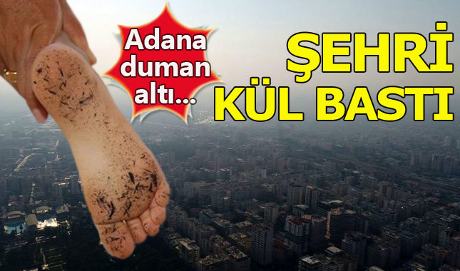 Adana'da yakılan tarlalar kenti küle boğdu