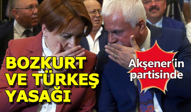 Akşener'in partisinde Bozkurt ve Türkeş yasak