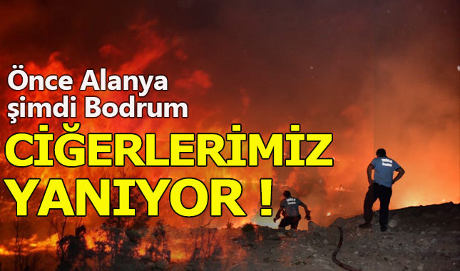 Alanya ve İzmir'in ardından Bodrum'da da orman yangını 