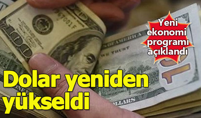 Albayrak'ın açıklamasının ardından dolar yükselişe geçti