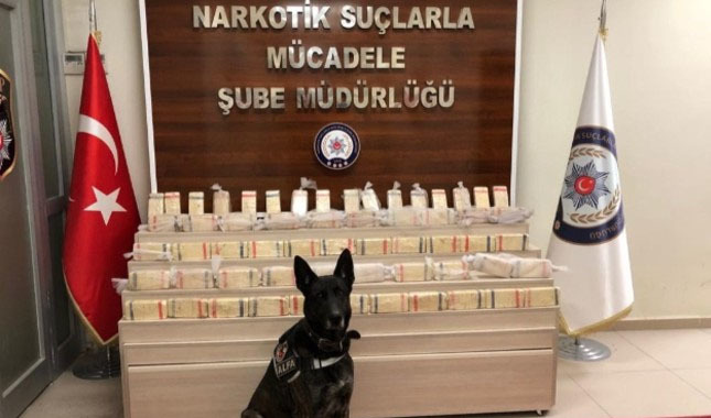 Alfa zehir tacirlerini avladı!