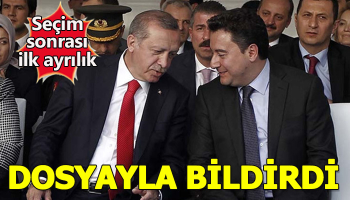 Ali Babacan ayrılacağını Erdoğan'a iletti