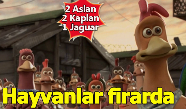 Hayvanat bahçesinden 2 aslan, 2 kaplan ve 1 jaguar kaçtı