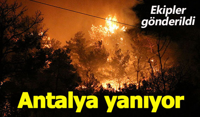 Antalya'da orman yangını | Son dakika yangın haberleri