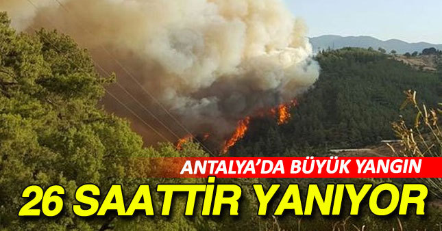 Antalya'da orman yangını devam ediyor 