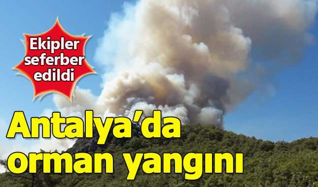 Antalya'da orman yangını müdahale sürüyor