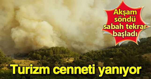 Antalya'daki orman yangını tekrar başladı