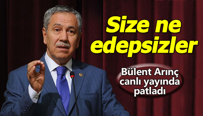 Arınç'tan maaşını eleştirenlere cevap: Edepsizler