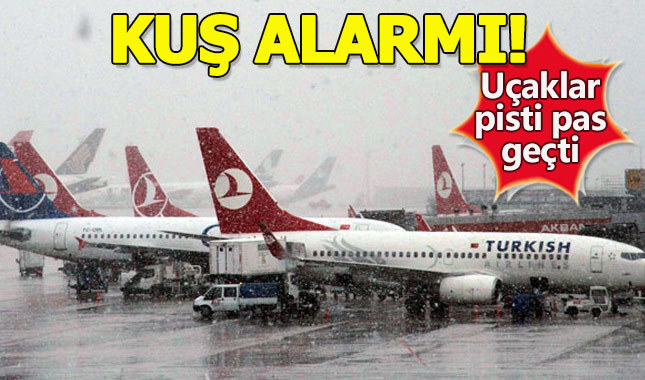 Atatürk Havalimanı'nda ölü kuş alarmı! Uçaklar pisti pas geçti