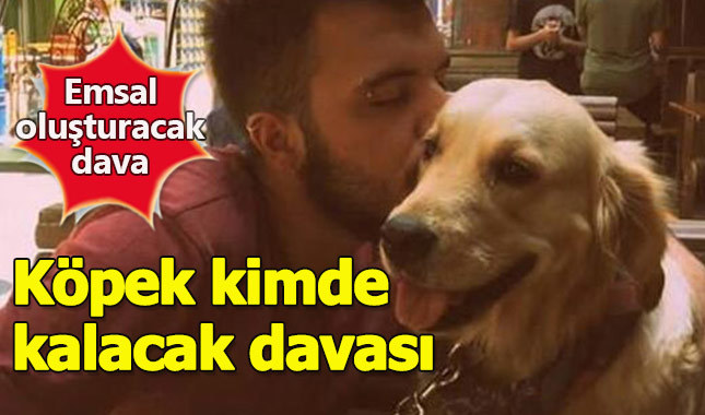 Ayrılan çiftin köpek kimde kalacak davası