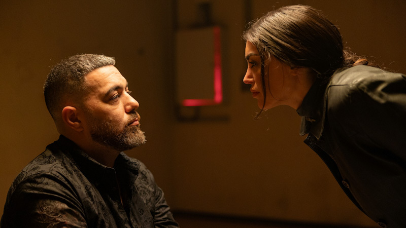 “BAY VE BAYAN ASLAN (MR & MRS ASLAN)” 2 OCAK'TA SİNEMALARDA!