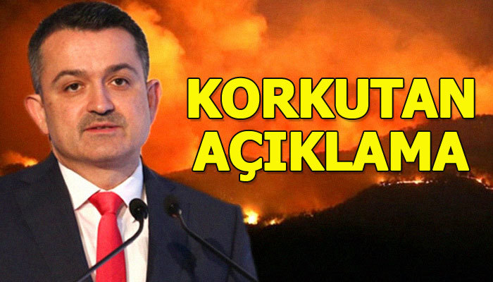 Bakan Pakdemirli, Muğla'da çıkan orman yangınına ilişkin açıklamalarda bulundu