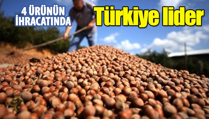Bakan açıkladı: Türkiye üretimde zirvede