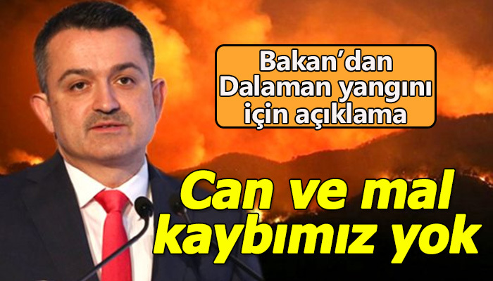 Bakan'dan Dalaman yangını açıklaması
