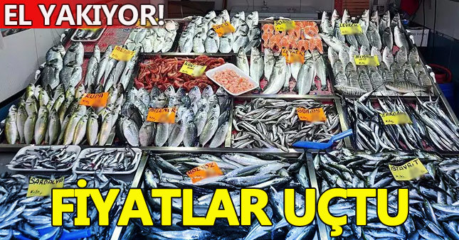Balık fiyatlarına yüzde 200 zam geldi