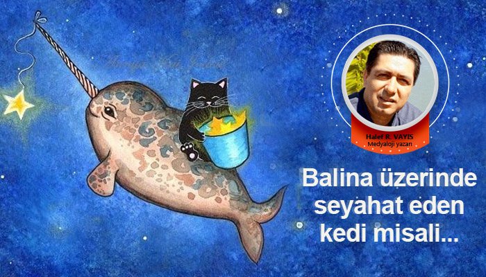 Balina üzerinde seyahat eden kedi misali...