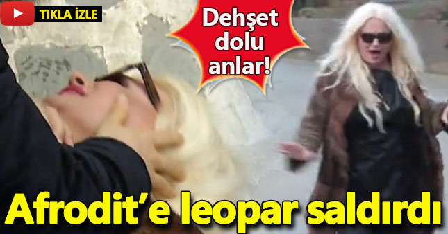 Banu Alkan'a leopar saldırdı! O anlar saniye saniye kaydedildi