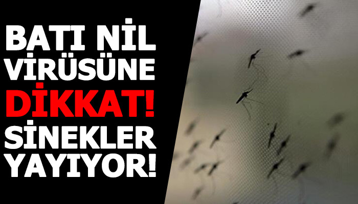 Batı Nil Virüsü ile ilgili ilk açıklama geldi